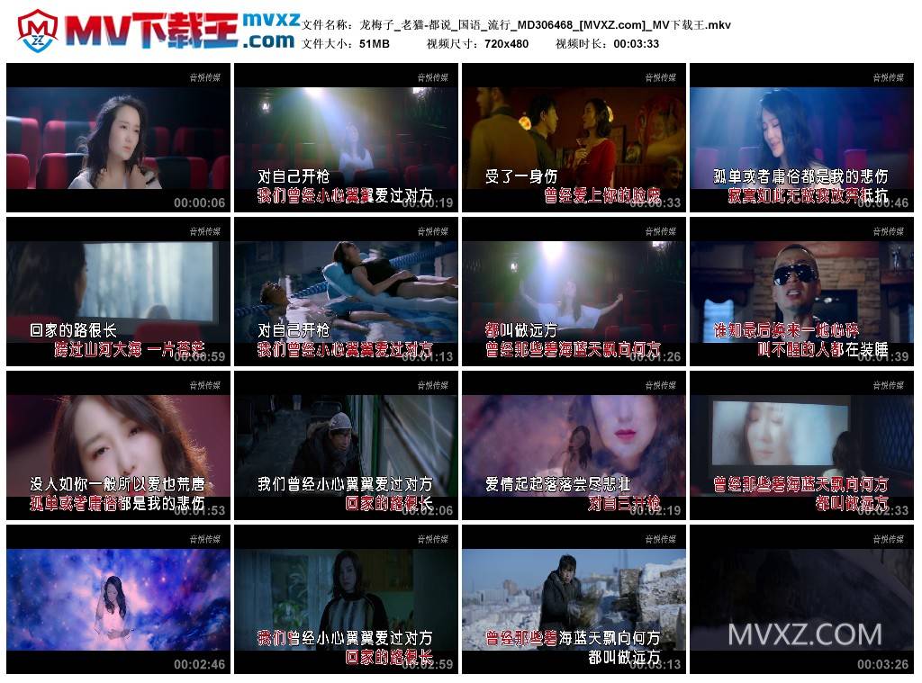 龙梅子_老猫-都说_国语_流行_MD306468